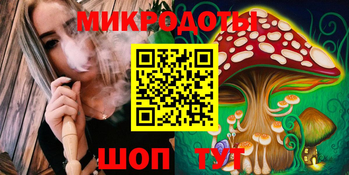 Бердск  Псилоцибиновые грибы Cubensis  Вход с VPN  Псилоцибиновые грибы Psilocybine cubensis 