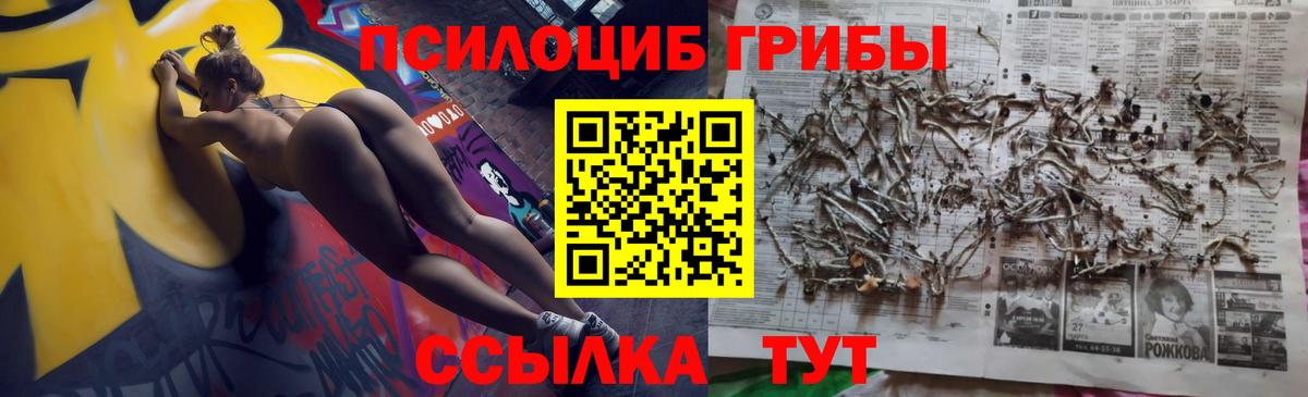 Псилоцибиновые грибы мухоморы Бердск